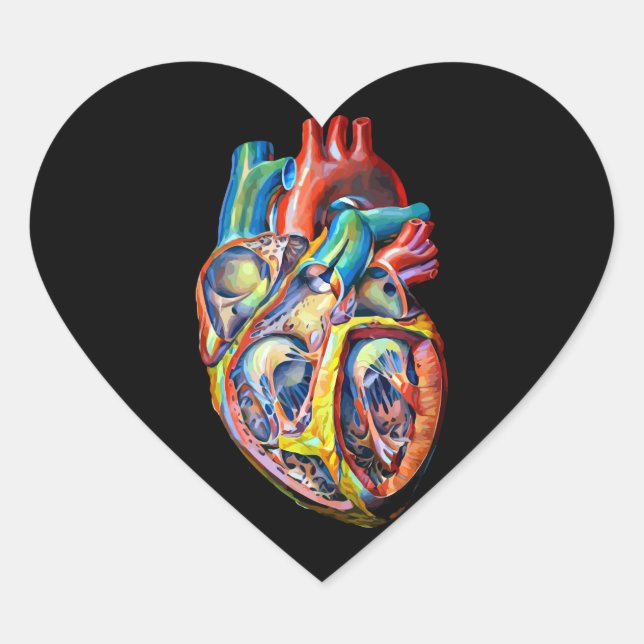 colourful human heart anatomy abstract art heart sticker (Front)