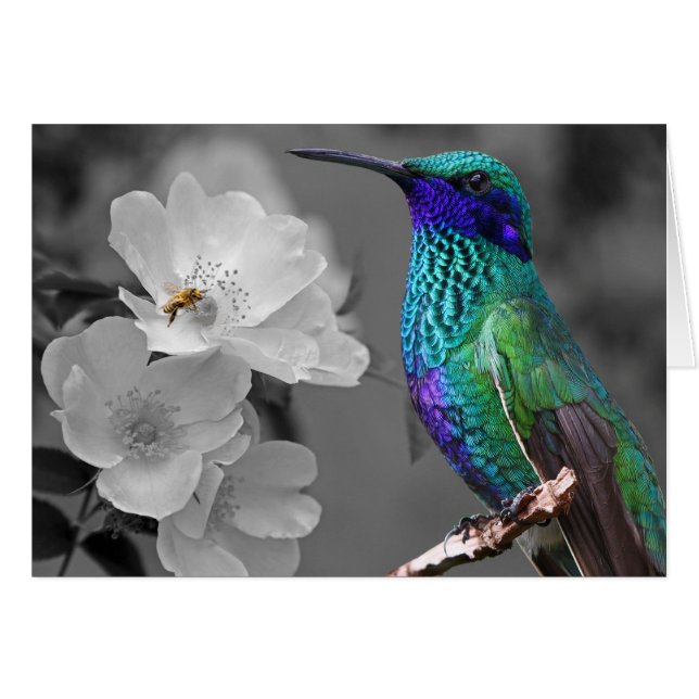 Colourful Hummingbird, Flowers and Bee Card (Front Horizontal)