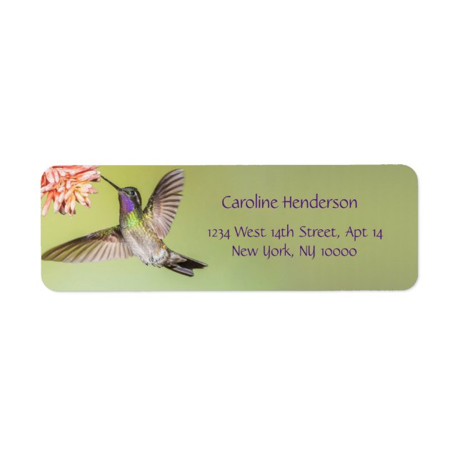 Colourful Hummingbird Flying to a Flower Return Address Label (Front)