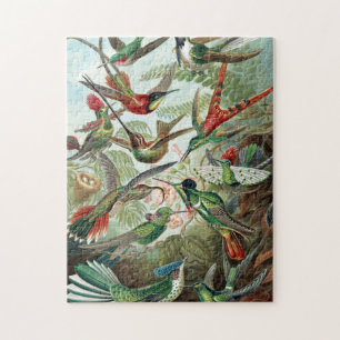 Colourful Hummingbirds by Ernst Haeckel Poster Jigsaw Puzzle