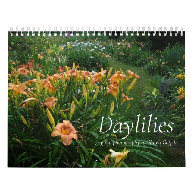 Colourful Hybrid Dayliles Hemerocallis Calendar (Cover)