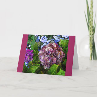 Colourful Hydrangea Flower Card