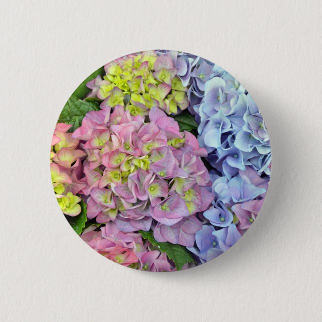Colourful hydrangea flowers 6 cm round badge (Front)