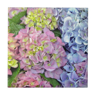 Colourful hydrangea flowers tile
