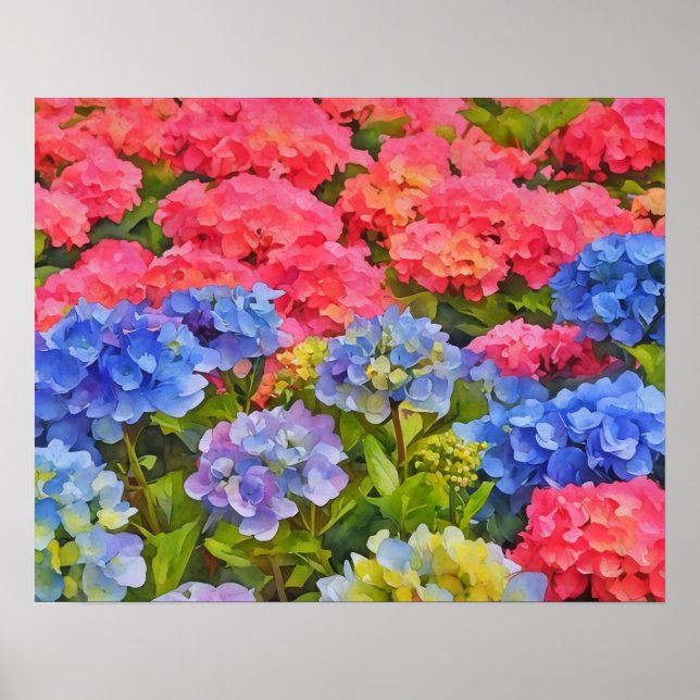 Colourful Hydrangea Flowers Watercolor Style Art Poster (Front)