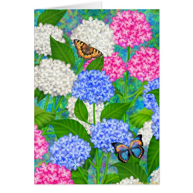 Colourful Hydrangea Garden Flowers Card (Front)