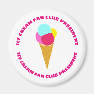 Colourful ice cream magnet