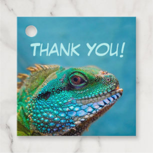 Colourful Iguana Thank You Favour Tags