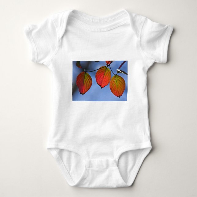 Colourful Illuminated Autumn Leaves Trio Baby Bodysuit (Front)