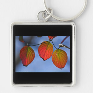 Colourful Illuminated Autumn Leaves Trio Key Ring