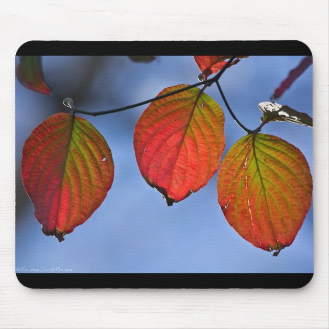 Colourful Illuminated Autumn Leaves Trio Mouse Pad (Front)