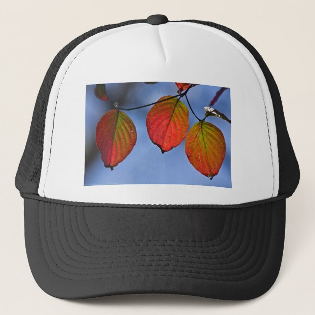Colourful Illuminated Autumn Leaves Trio Trucker Hat (Front)