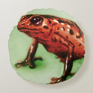 Colourful illustrated round pillow - Frog