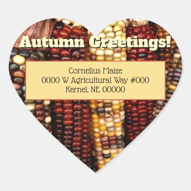 Colourful Indian Corn Kernels Photo Envelope Seals (Front)