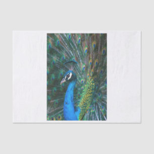 Colourful Indian peacock tail feathers open Tissue Paper