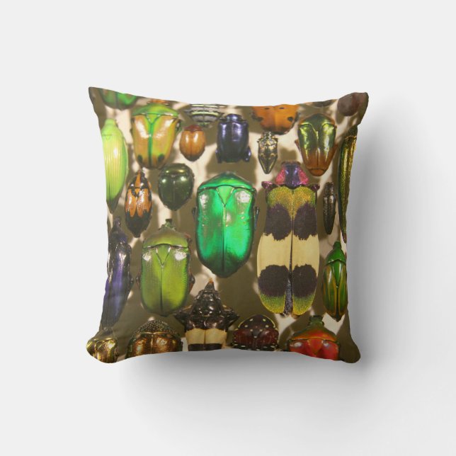 Colourful Insects Beetles and Bugs Cushion (Front)