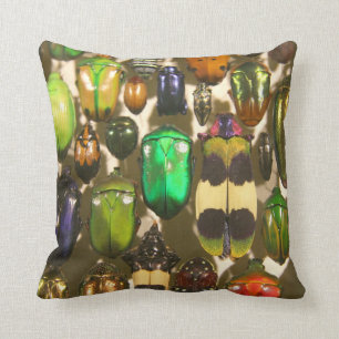 Colourful Insects Beetles and Bugs Cushion