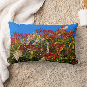 Colourful Japanese Andromeda Bonfire Shrub Lumbar Cushion