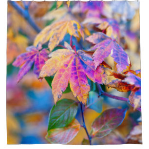 Colourful Japanese Maple leaves Shower Curtain