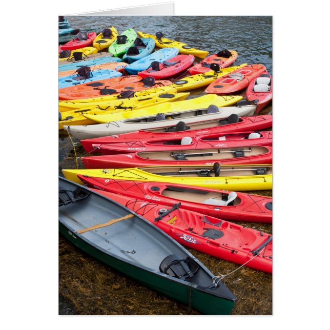 Colourful Kayaks (Front)