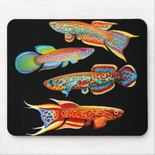 Colourful Killifish Mousepad