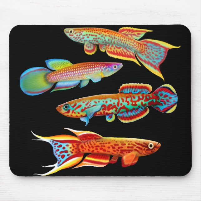 Colourful Killifish Mousepad (Front)