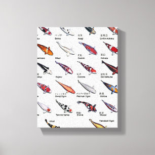Colourful Koi Fish Varieties Nishikigoi Asian Art Canvas Print