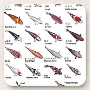 Colourful Koi Fish Varieties Nishikigoi Asian Art Coaster