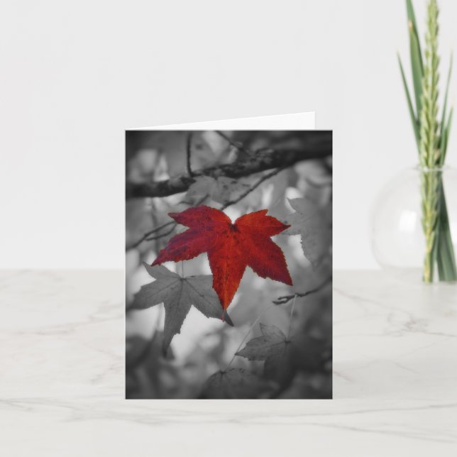 Colourful Leaf-Blank Card (Front)