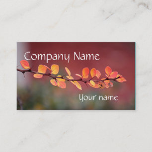 Colourful leaves business card