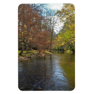 Colourful Leaves Fall Reflections on Autumn Stream Magnet