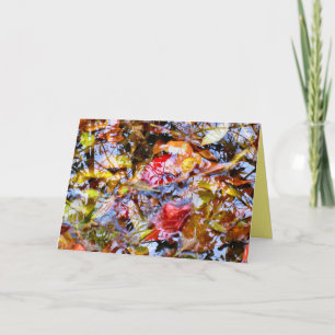 Colourful Leaves Shapes Tree Reflections in Water Card