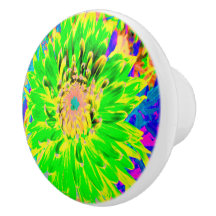 Colourful Lime Green and Yellow Blooming Dahlia