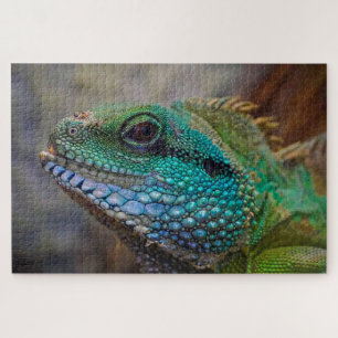 Colourful lizard photo jigsaw puzzle