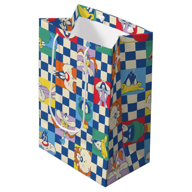 Colourful LOONEY TUNES™ Chequered Toss Pattern Medium Gift Bag (Front Angled)