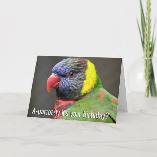 Colourful Lorikeet Birthday Card
