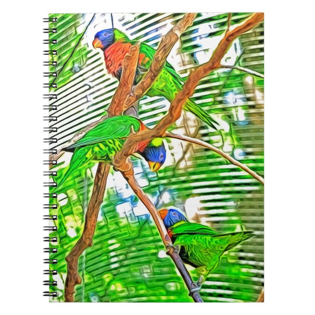 Colourful Loris on a branch - parrots  Notebook (Front)