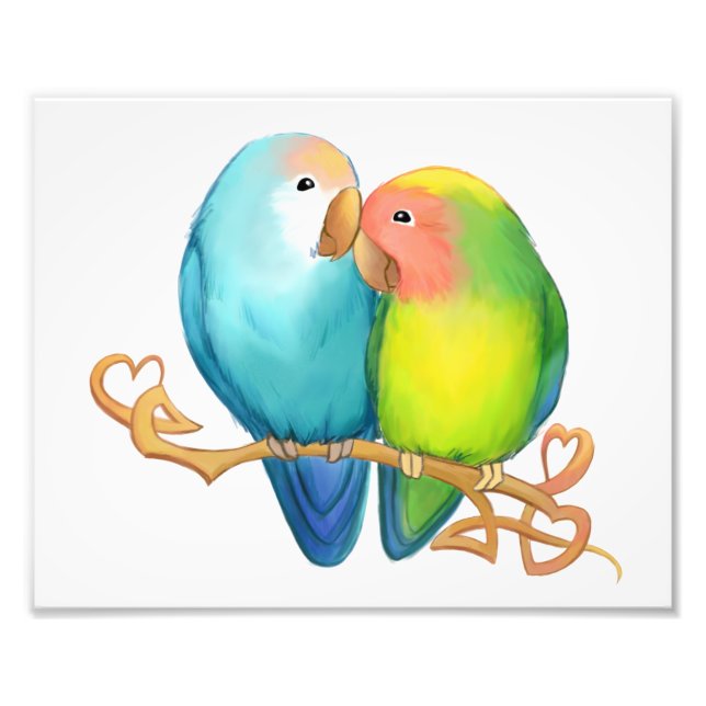 Colourful Lovebirds Photo Print (Front)
