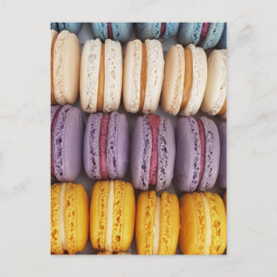 Colourful Macaron Photo Postcard
