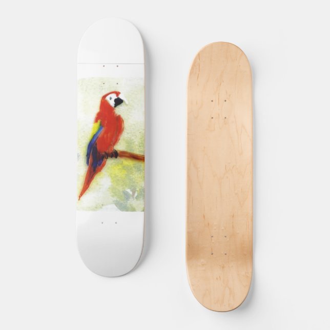Colourful Macaw Bird Art Skateboard (Front)