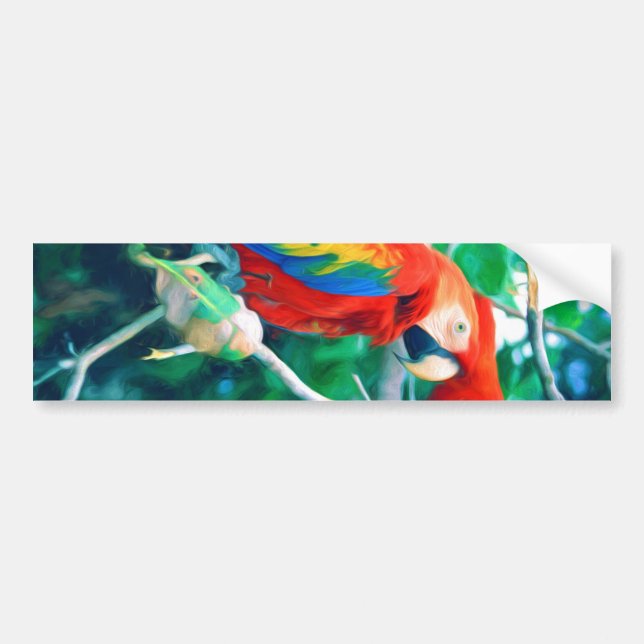 Colourful Macaw Bumper Sticker (Front)