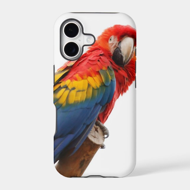 Colourful Macaw Chic Classy Mod Tropical (Back)