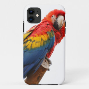 Colourful Macaw Chic Classy Mod Tropical iPhone 11 Case