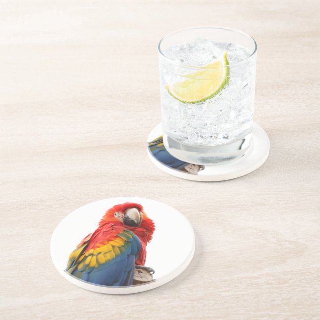 Colourful Macaw Chic Classy Mod Tropical Coaster (Side)