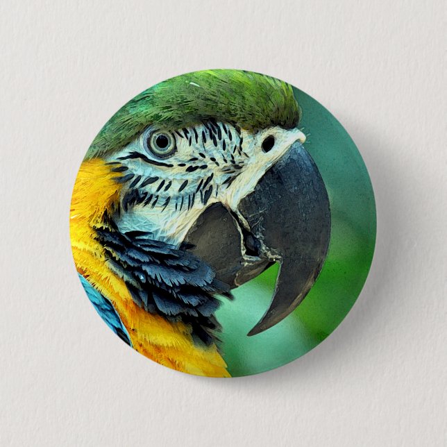 Colourful macaw parrot 6 cm round badge (Front)