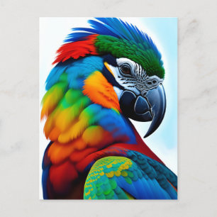 Colourful Macaw Parrot Bird Painting Postcard