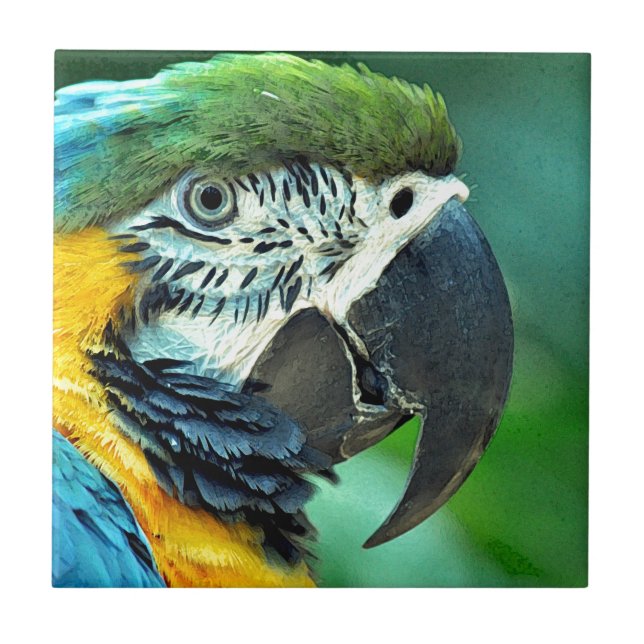 Colourful macaw parrot ceramic tile (Front)