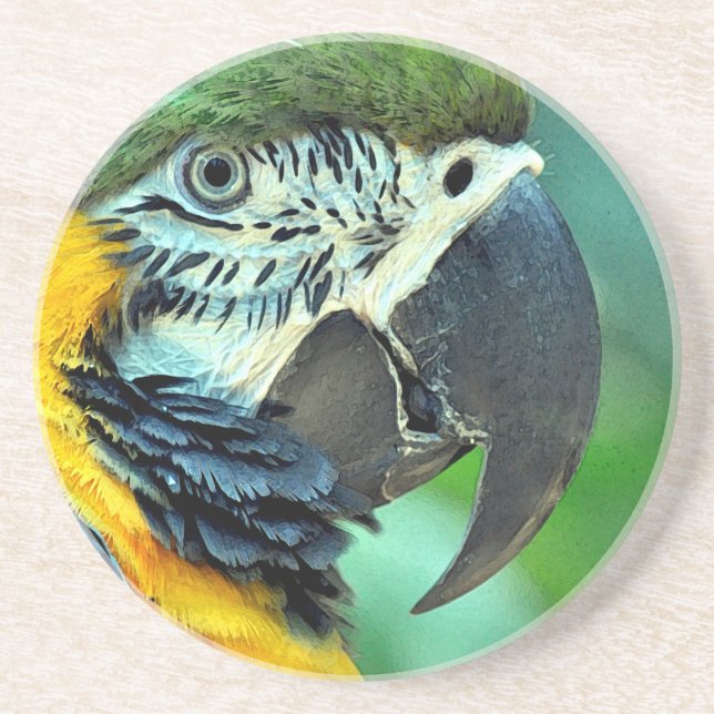 Colourful macaw parrot coaster (Front)