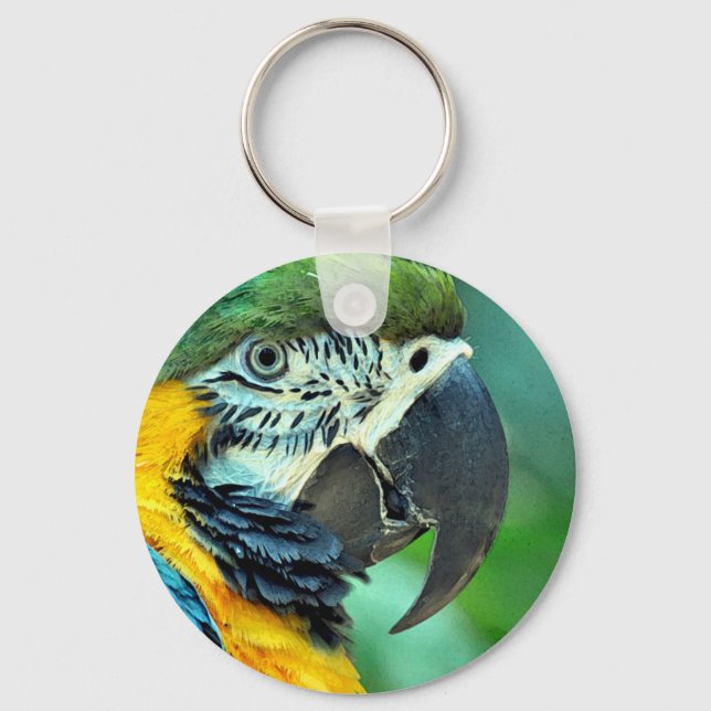 Colourful macaw parrot key ring (Front)