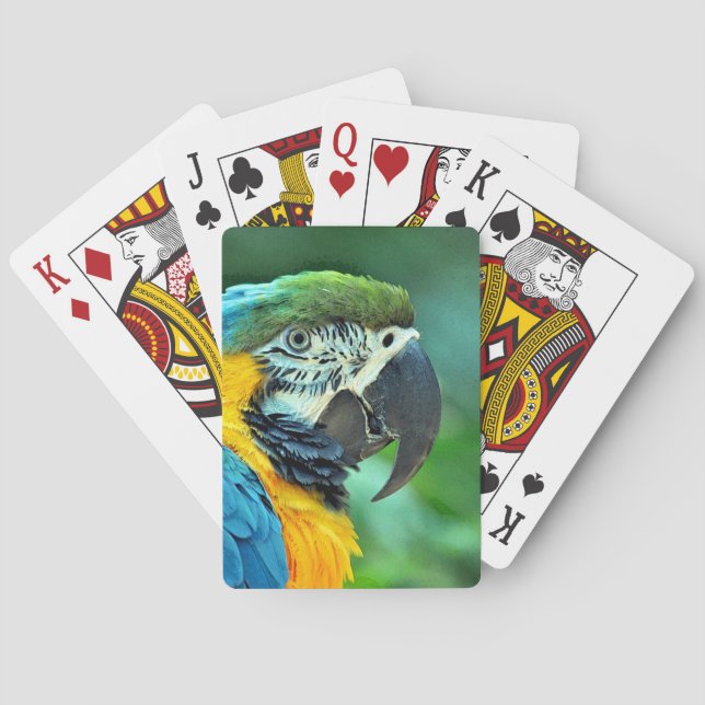 Colourful macaw parrot playing cards (Back)